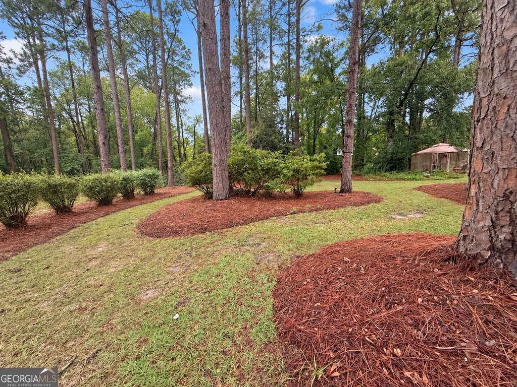 Photo of 207 Wellington Circle, Statesboro, GA 30458 (MLS # 10866729)