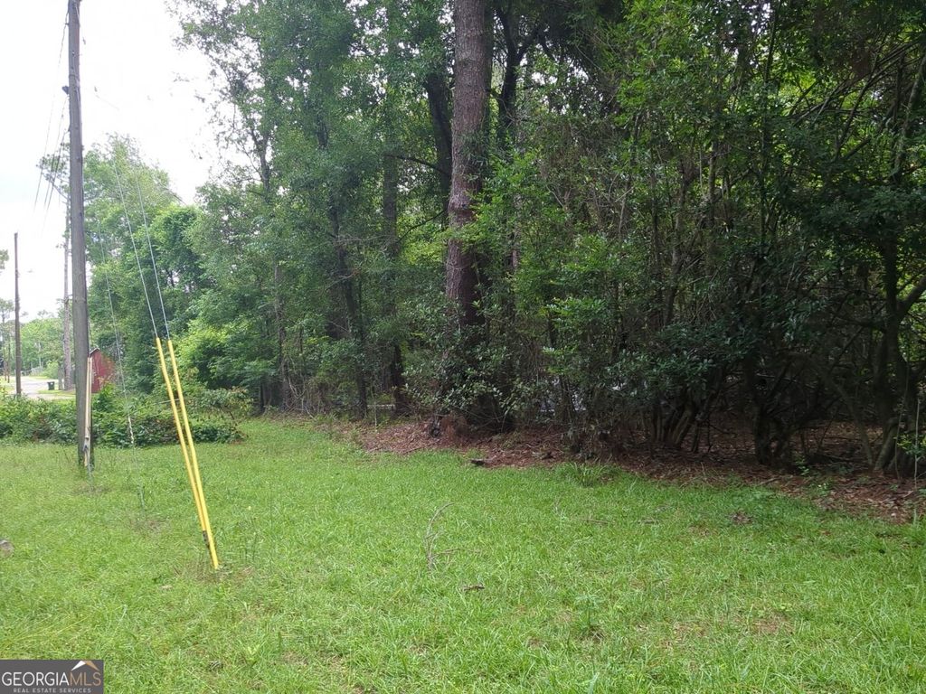 Photo of 703 Parrish Court, Sparks, GA 30612 (MLS # 10741846)