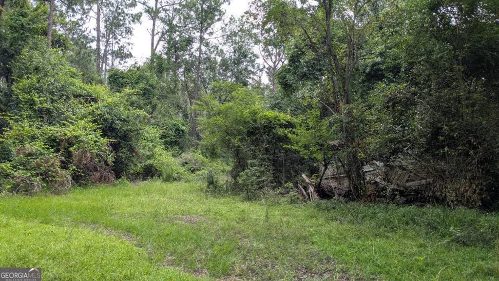 Photo of 703 Parrish Court, Sparks, GA 30612 (MLS # 10741846)