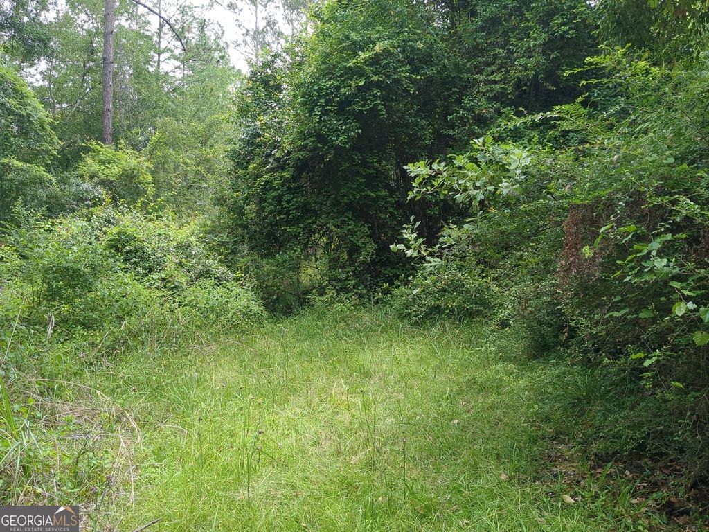 Photo of 703 Parrish Court, Sparks, GA 30612 (MLS # 10741846)