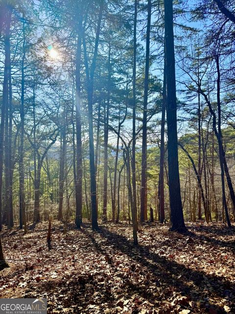 335 Packet CT Ranger GA 30734