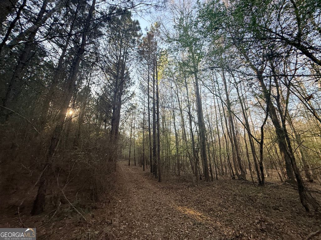 Photo of 8 Hollis Norman Road, Tignall, GA 30668 (MLS # 10721197)