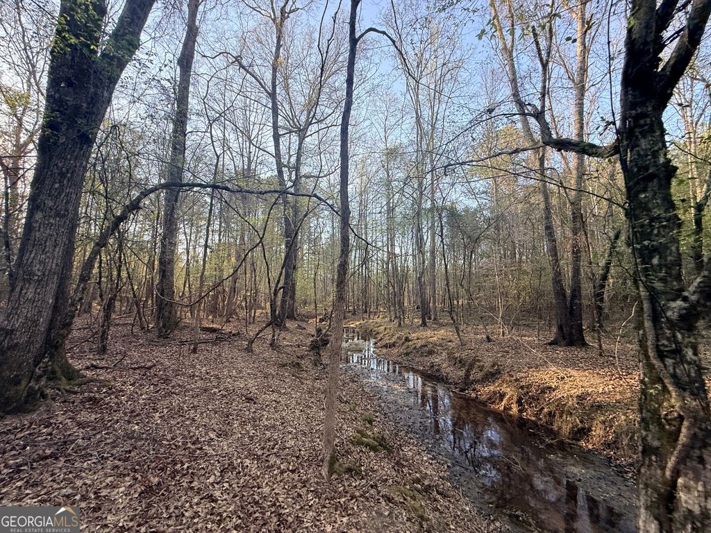 Photo of 8 Hollis Norman Road, Tignall, GA 30668 (MLS # 10721197)