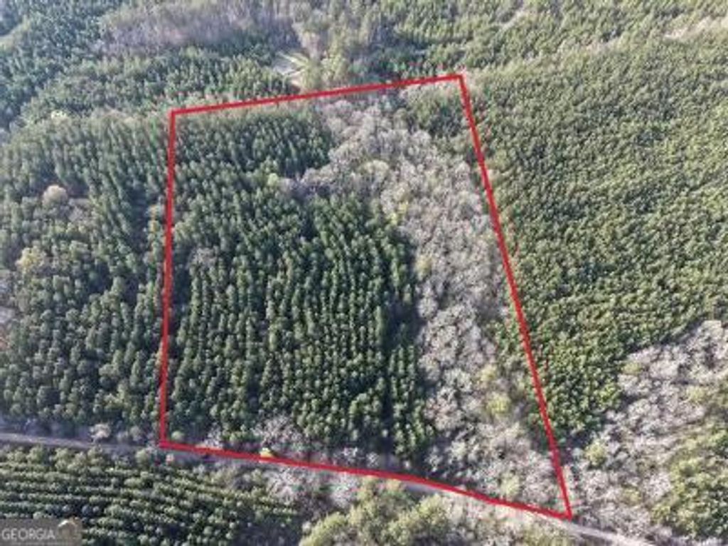 Photo of 8 Hollis Norman Road, Tignall, GA 30668 (MLS # 10721197)