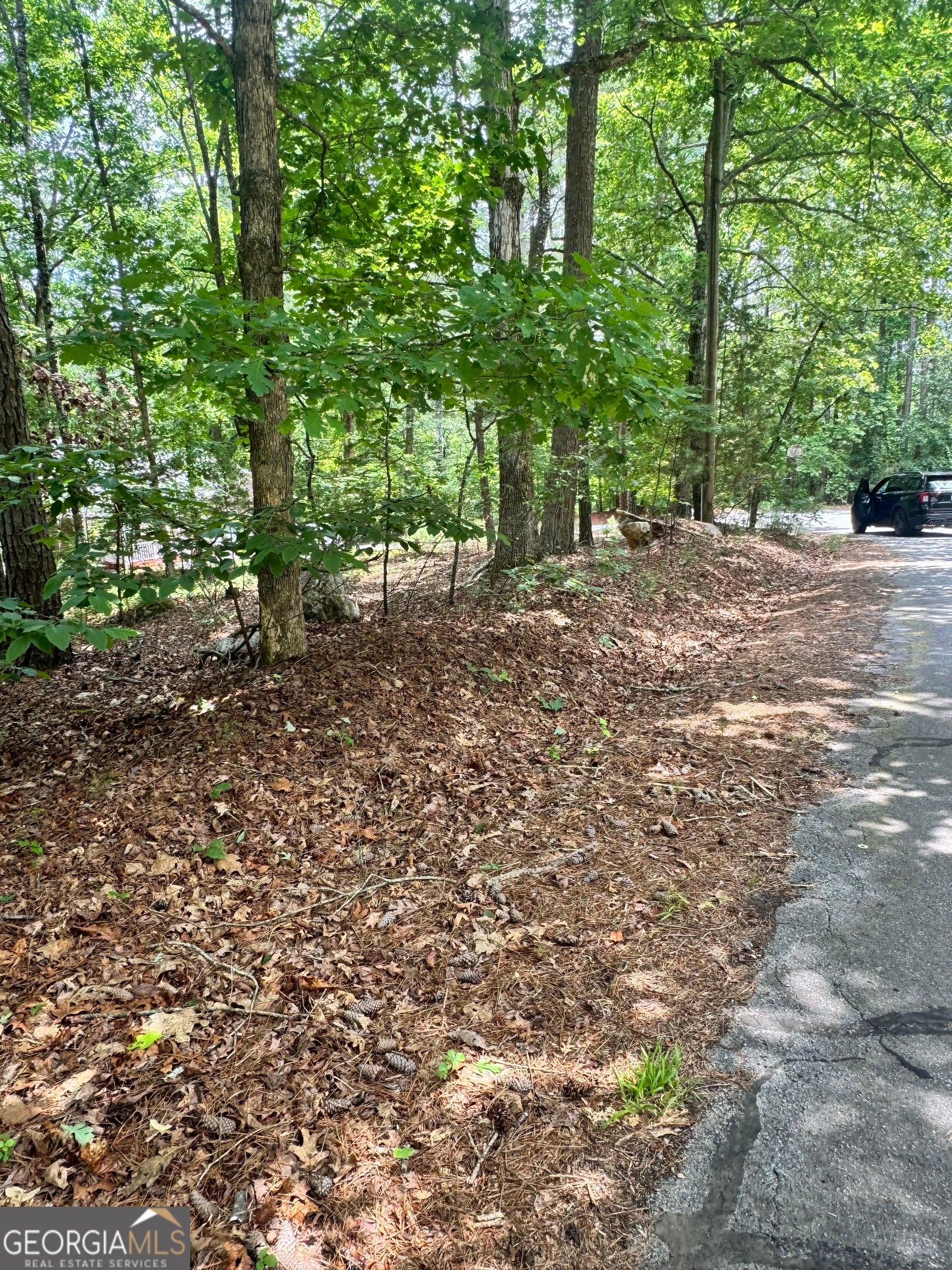 6150 Belle Meade DR
