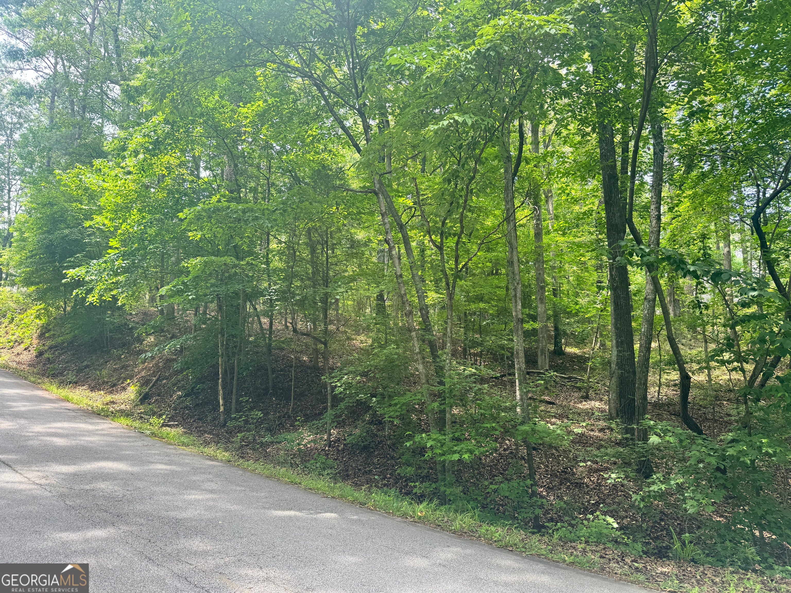 6150 Belle Meade DR