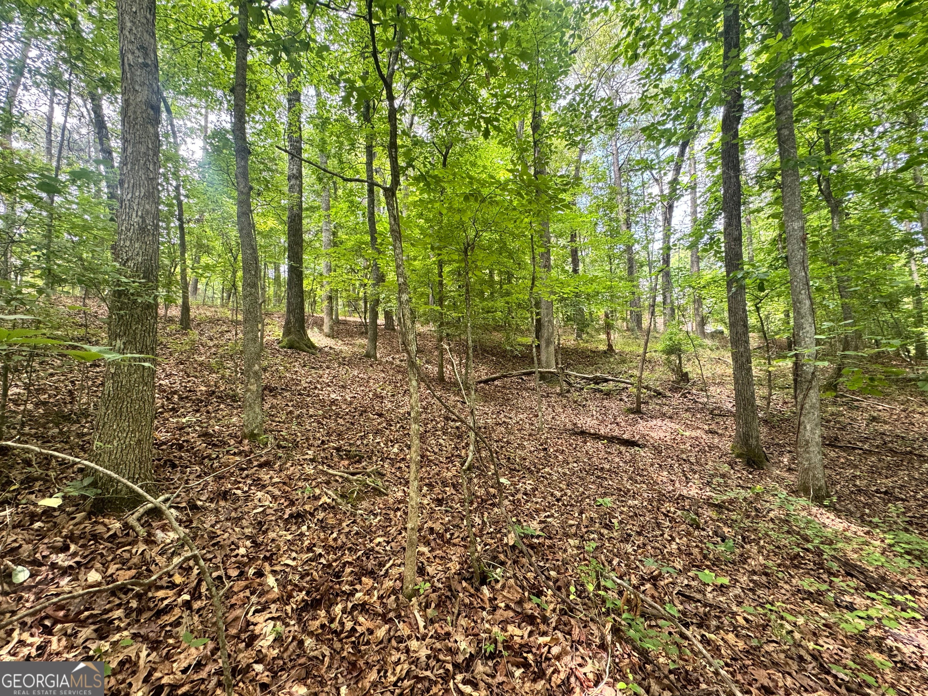 6150 Belle Meade DR