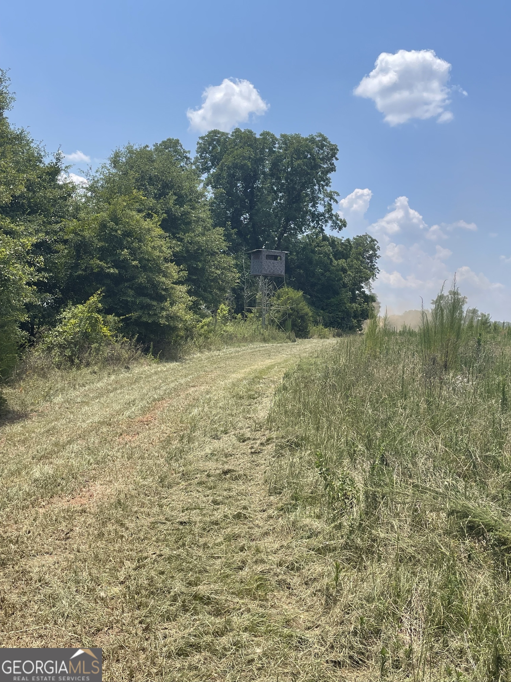 571 Bob Dodson RD