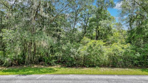 Photo of 59 St Joseph's Point, Darien, GA 31305 (MLS # 20133918)
