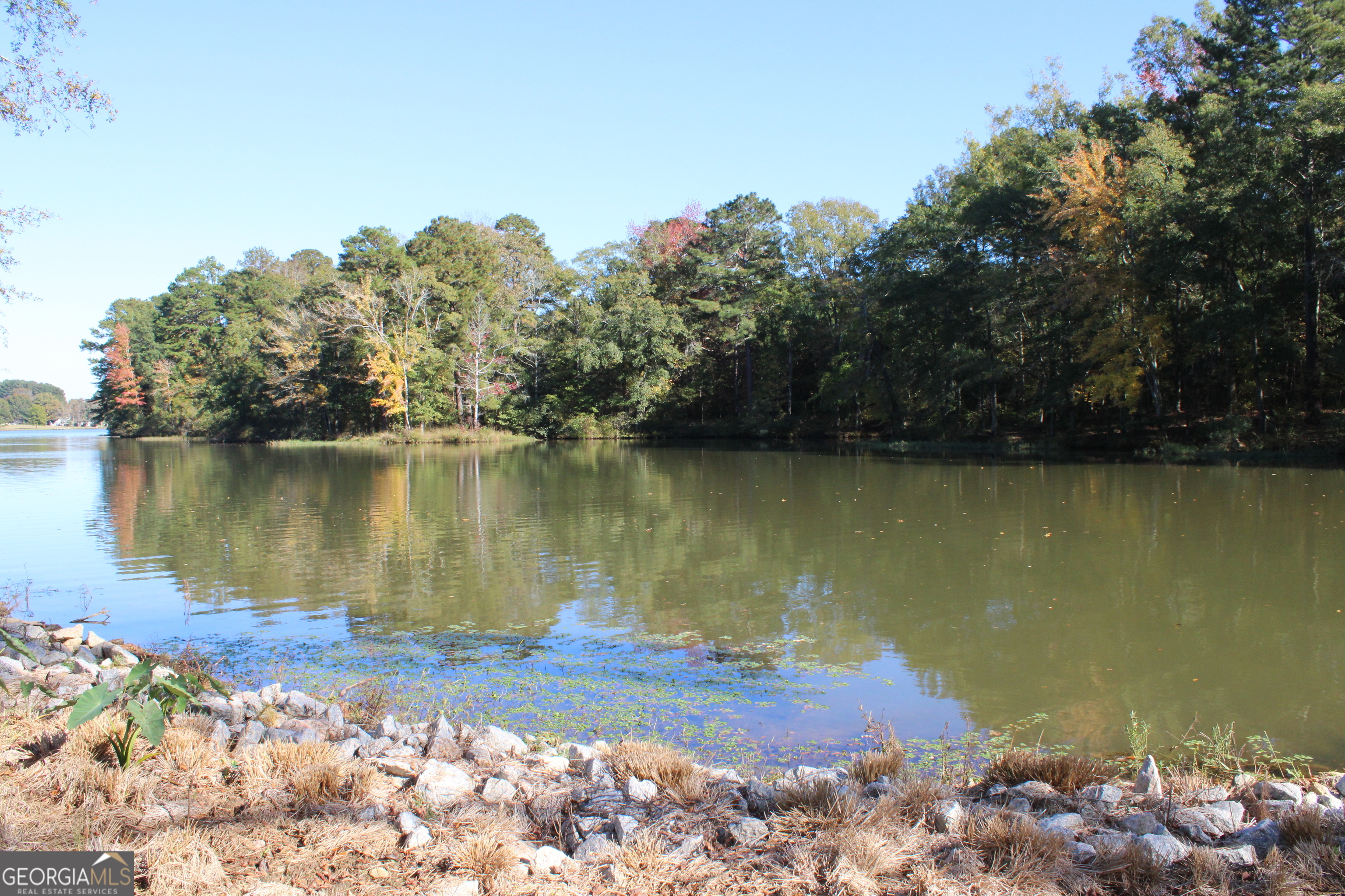 1701 Blue Springs Road