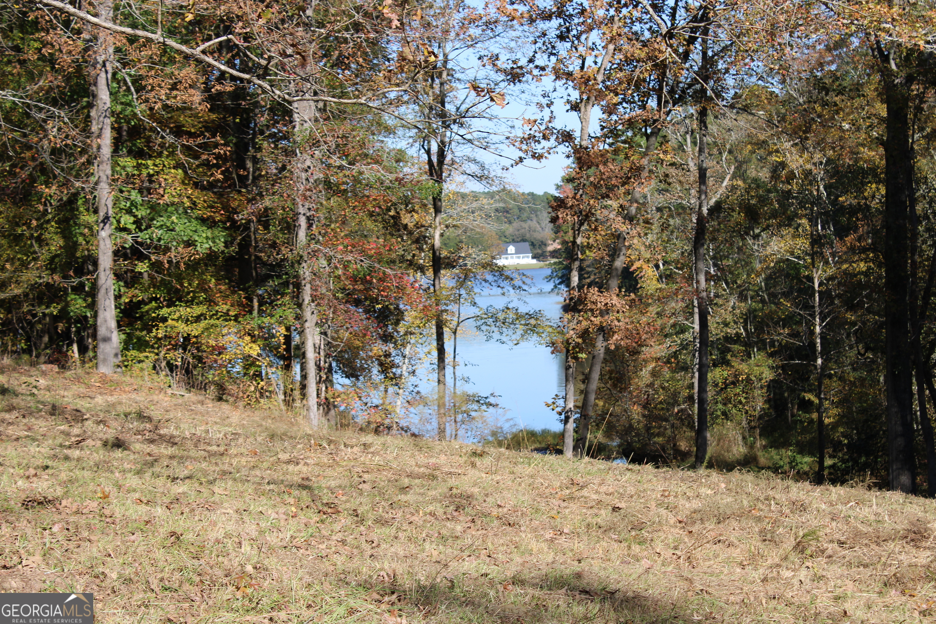 1701 Blue Springs Road