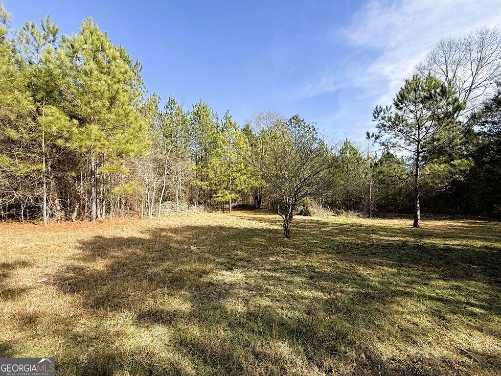 Photo of 0 Stinchcomb Road, Elberton, GA 30635 (MLS # 10669701)