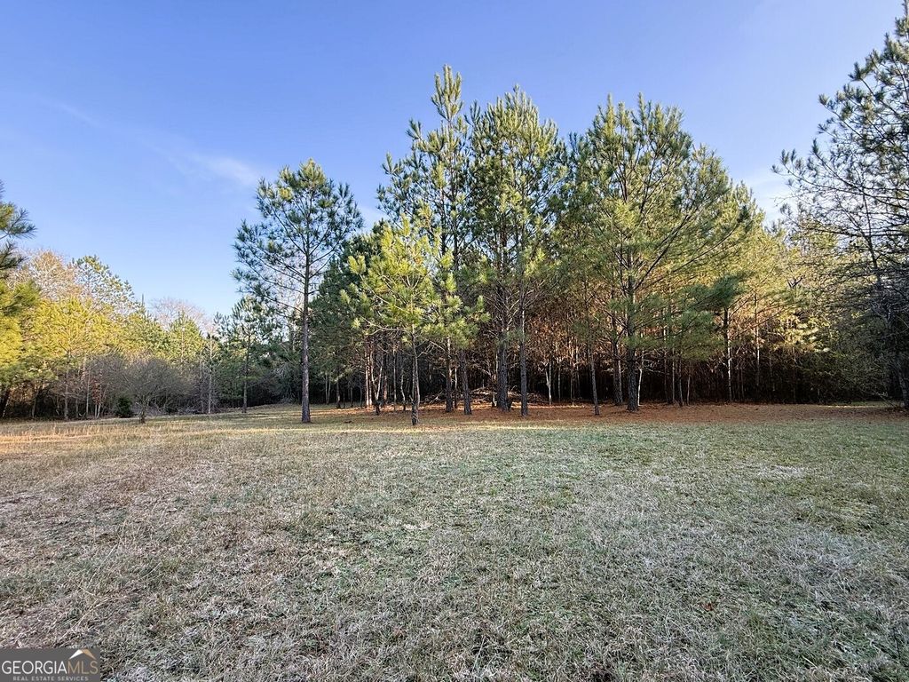Photo of 0 Stinchcomb Road, Elberton, GA 30635 (MLS # 10669701)