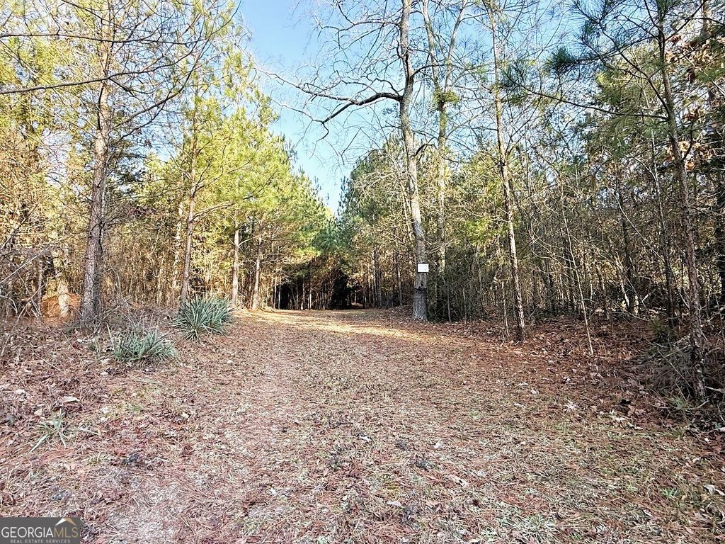 Photo of 0 Stinchcomb Road, Elberton, GA 30635 (MLS # 10669701)