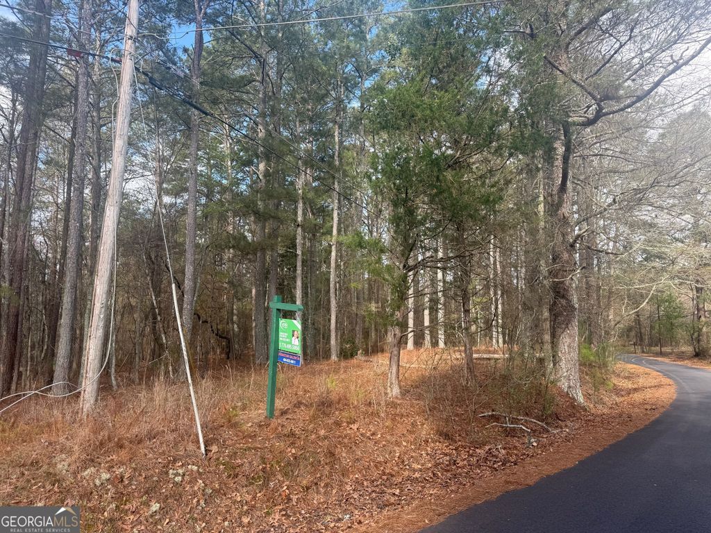 Photo of 8615 Smith James Road #TRACT 2, Snellville, GA 30039 (MLS # 10710725)