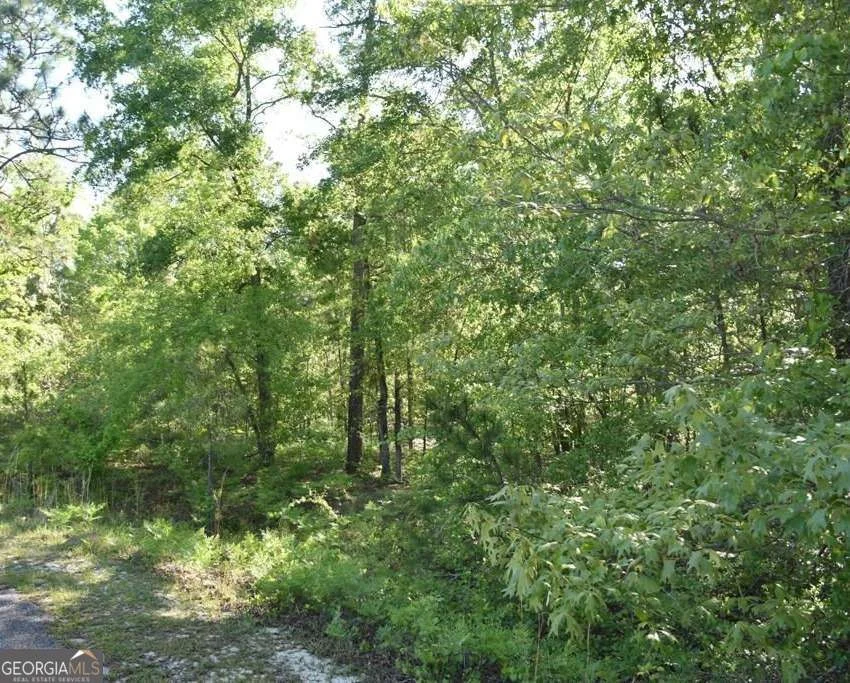 LOT 27 Chestnut Lane, Garfield, GA, 30425