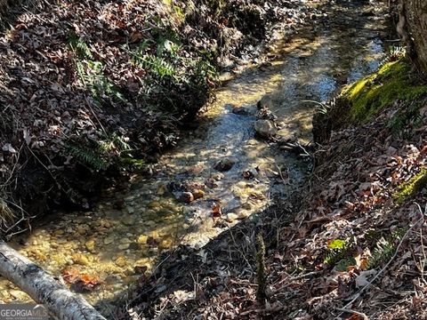 1200 Roy Powers RD Cleveland GA 30528