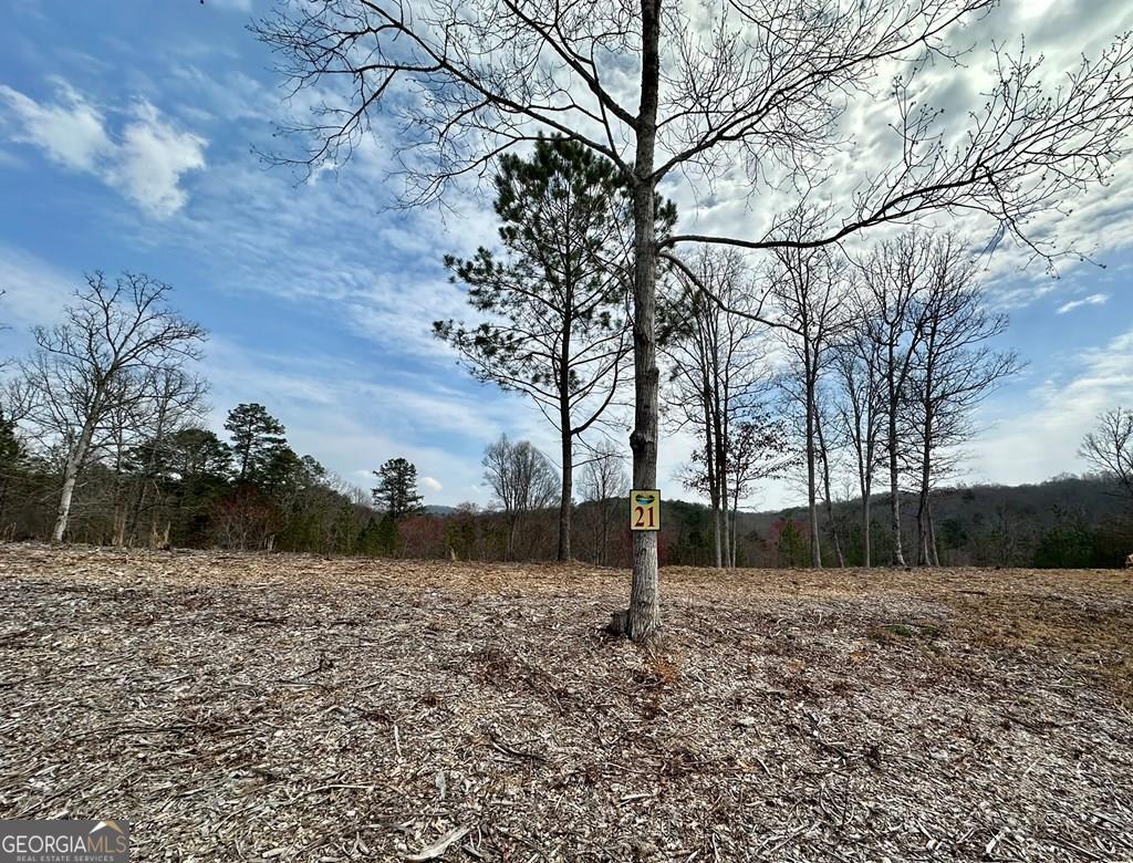 These beautiful, easy to build mountain estates offer panoramic views and waterfronts on a bold mountain creek. It's just minutes from downtown Blue Ridge and McCaysville, Georgia and the scenic Toccoa River. Arbor Creek features excellent roads, underground utilities including water, high speed internet, and a relaxing creekside park!