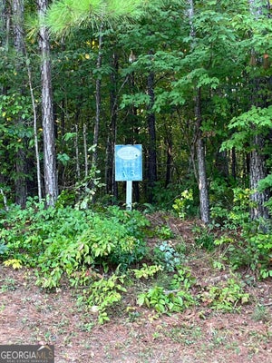 205 RIVER OVERLOOK, FORSYTH, GA 31029 - Image b19fe888cf2ba4e4e0d5a5fa829514cf/1639232830