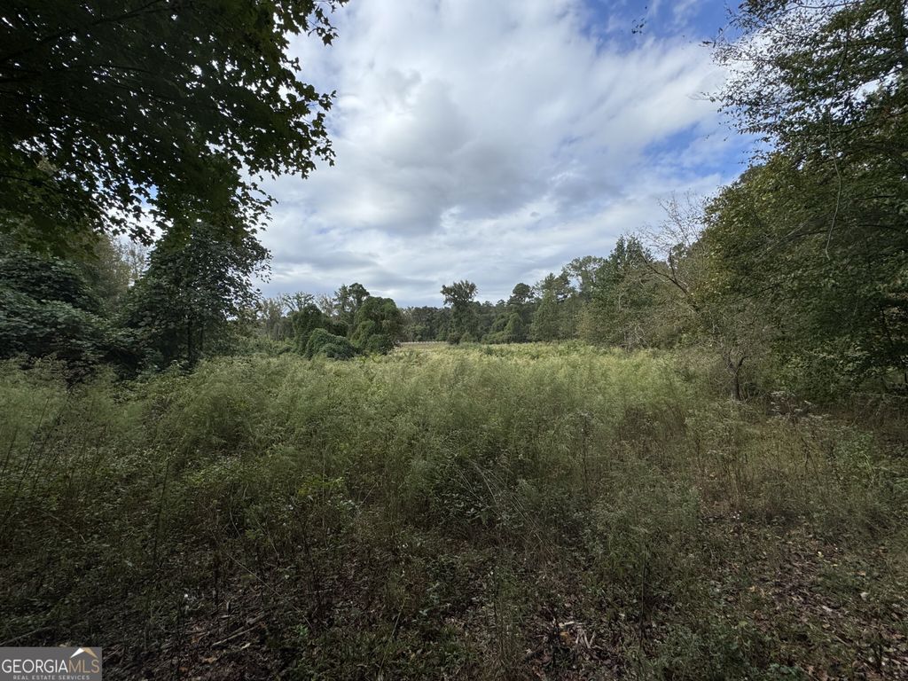 Photo of 410 Alcovy Way, Covington, GA 30014 (MLS # 10629622)