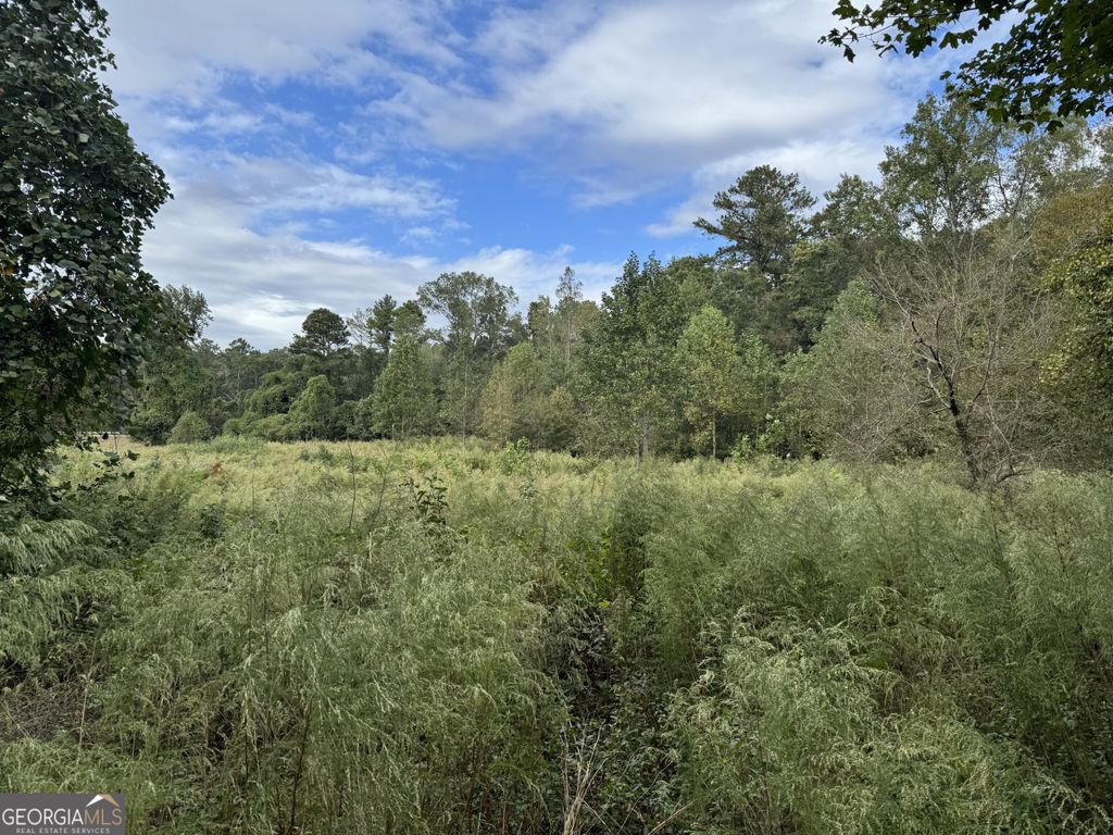 Photo of 410 Alcovy Way, Covington, GA 30014 (MLS # 10629622)