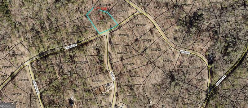 236 Pinnacle Dr (LT#236)