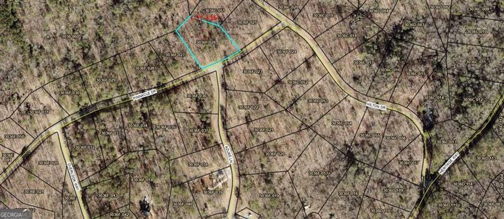 Photo of 236 Pinnacle Dr (LT#236), Ellijay, GA 30540 (MLS # 10660743)