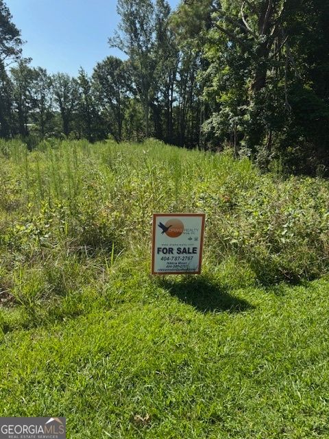 Photo of 1060 Twin Pines Circle NE, Greensboro, GA 30642 (MLS # 10547382)