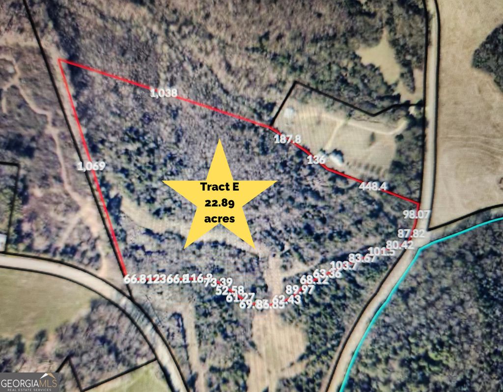 Photo of 740 Broad River Church Rd Tract E, Eastanollee, GA 30538 (MLS # 10678529)