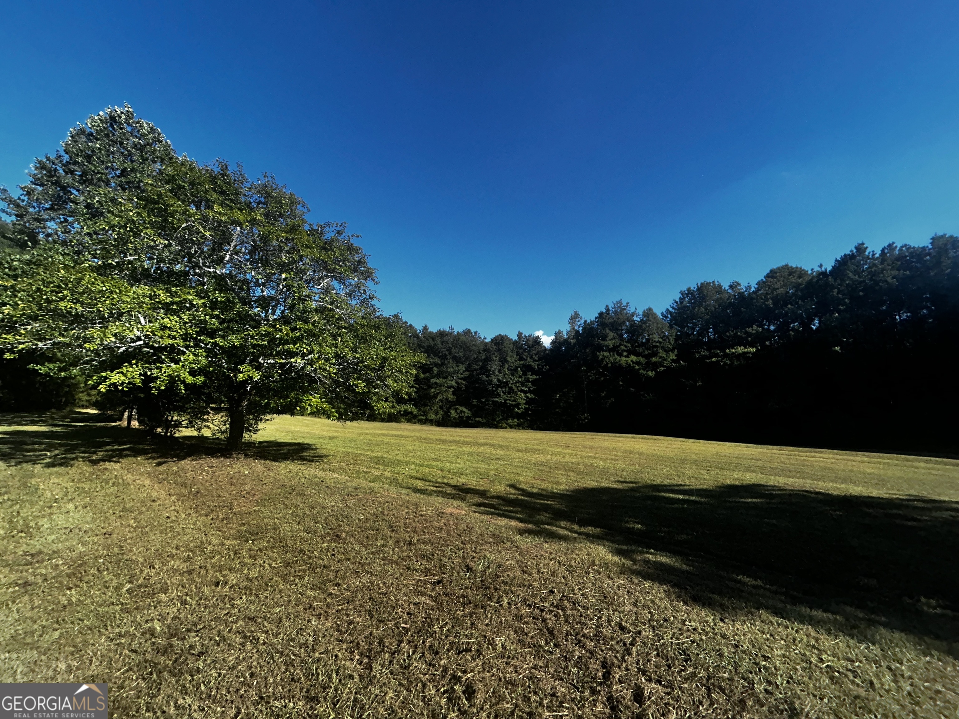 91 Almetie DR