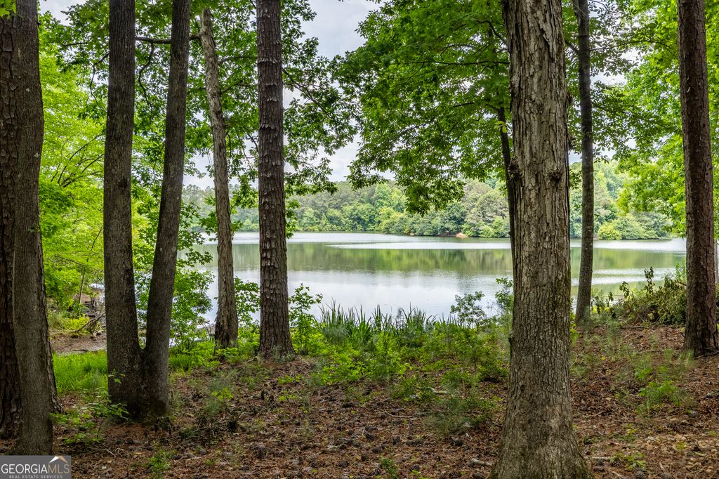 Photo of 1003 Mickleton Lane, Peachtree City, GA 30269 (MLS # 10770026)