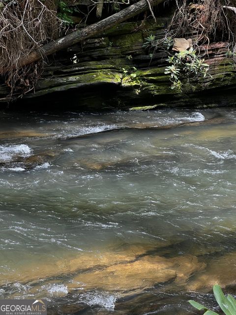 105 Chinquapin LN Clarkesville GA 30523