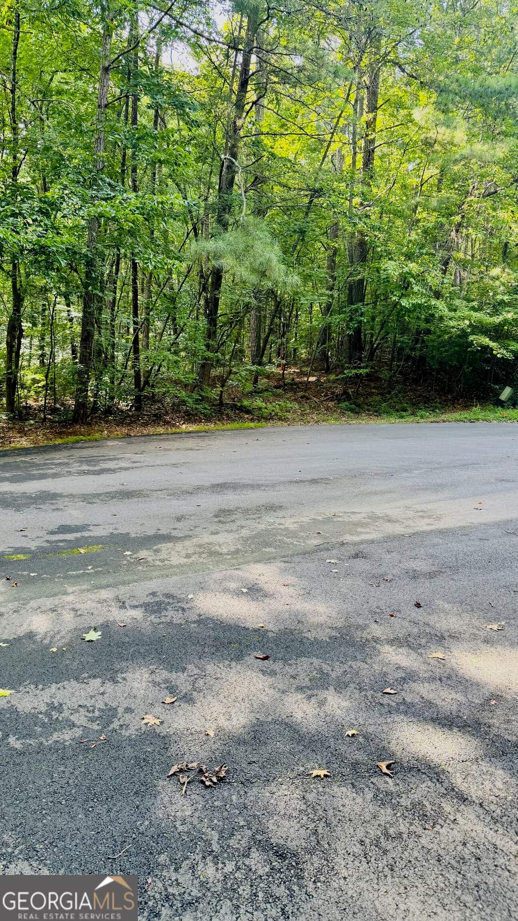 Photo of 2521 N Carroll Court, Villa Rica, GA 30180 (MLS # 10826831)