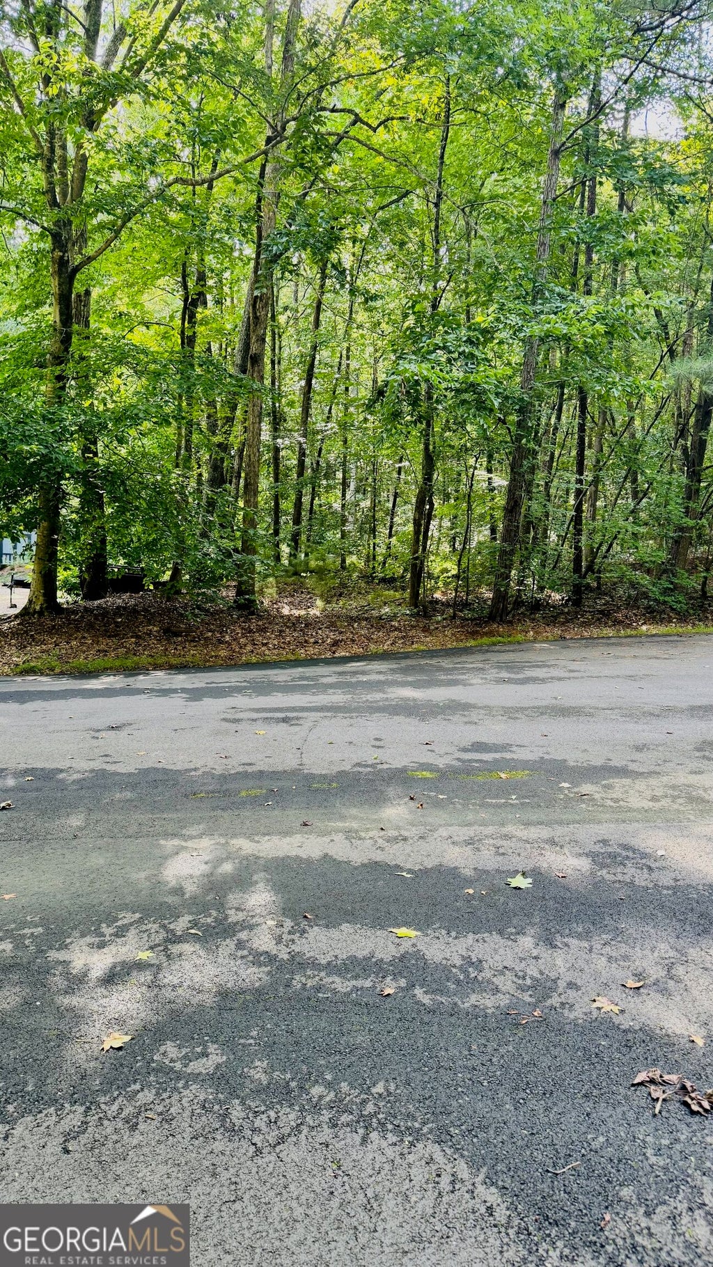 Photo of 2521 N Carroll Court, Villa Rica, GA 30180 (MLS # 10826831)