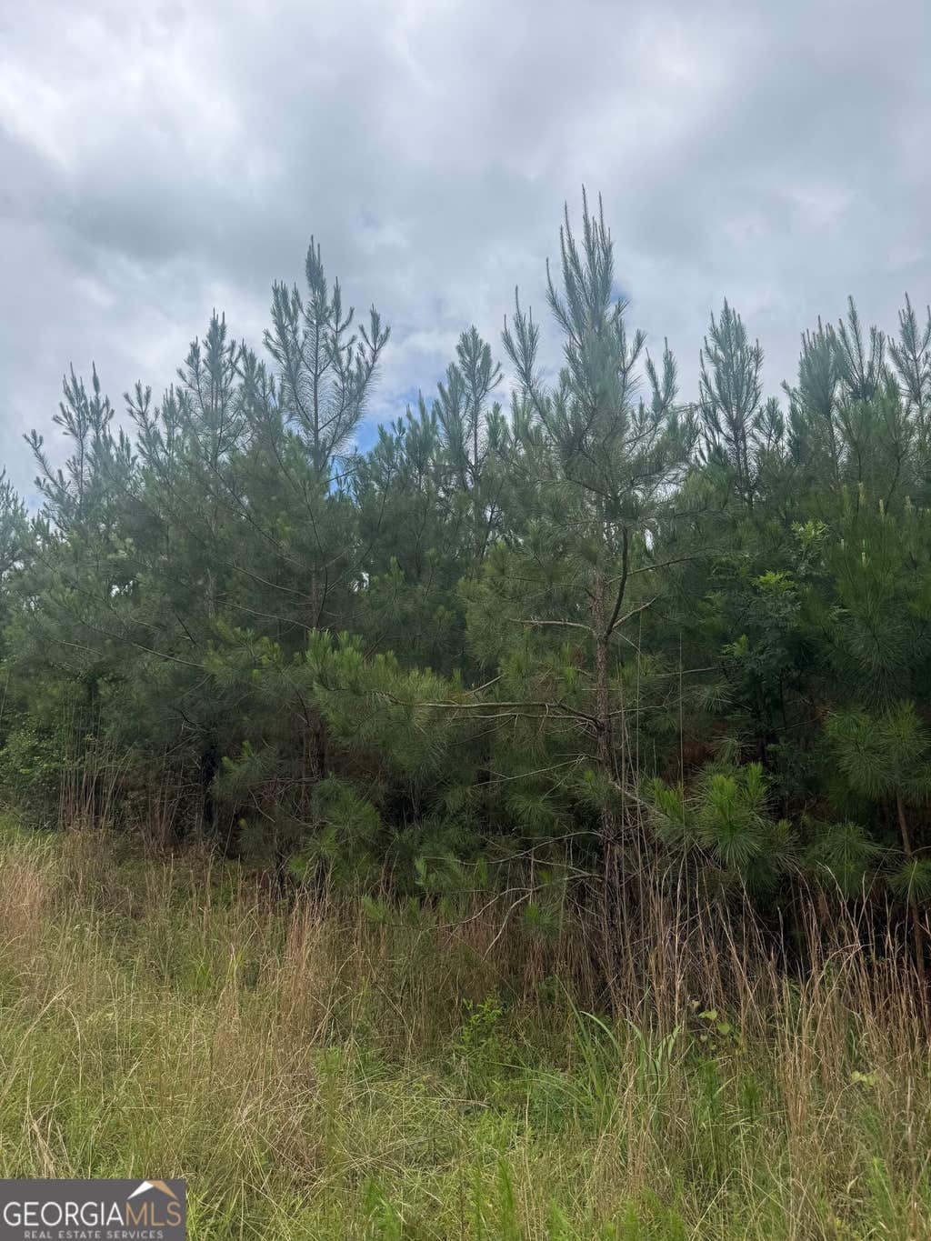 Photo of 1 Sandy Cross Road, Crawfordville, GA 30631 (MLS # 10833573)