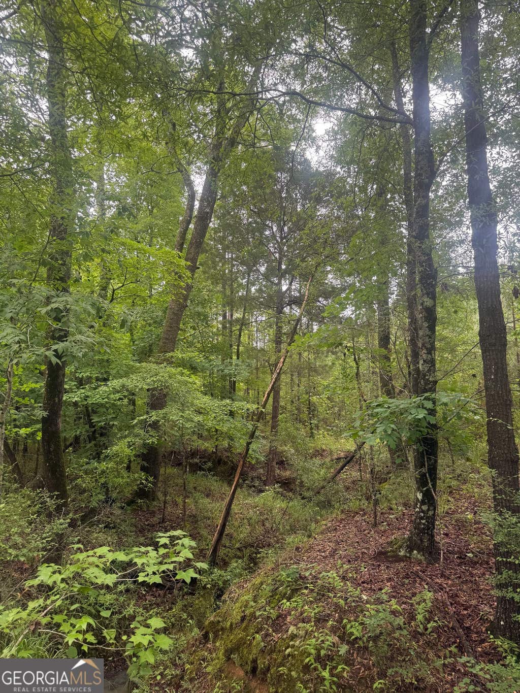 Photo of 1 Sandy Cross Road, Crawfordville, GA 30631 (MLS # 10833573)