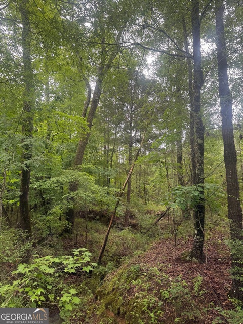 Photo of 1 Sandy Cross Road, Crawfordville, GA 30631 (MLS # 10833573)