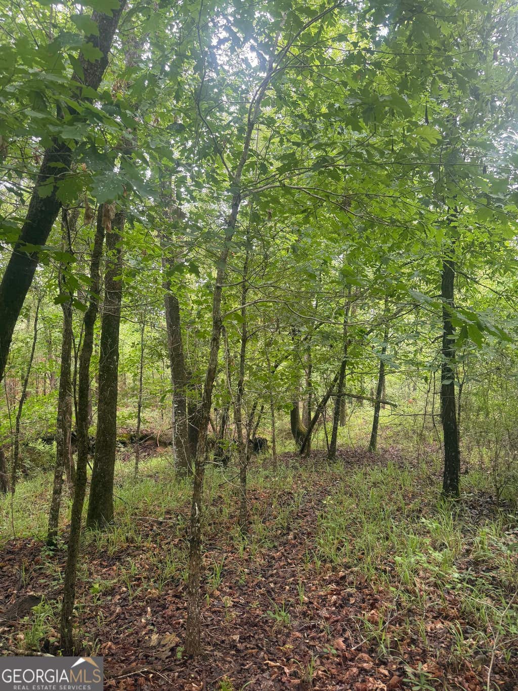 Photo of 1 Sandy Cross Road, Crawfordville, GA 30631 (MLS # 10833573)