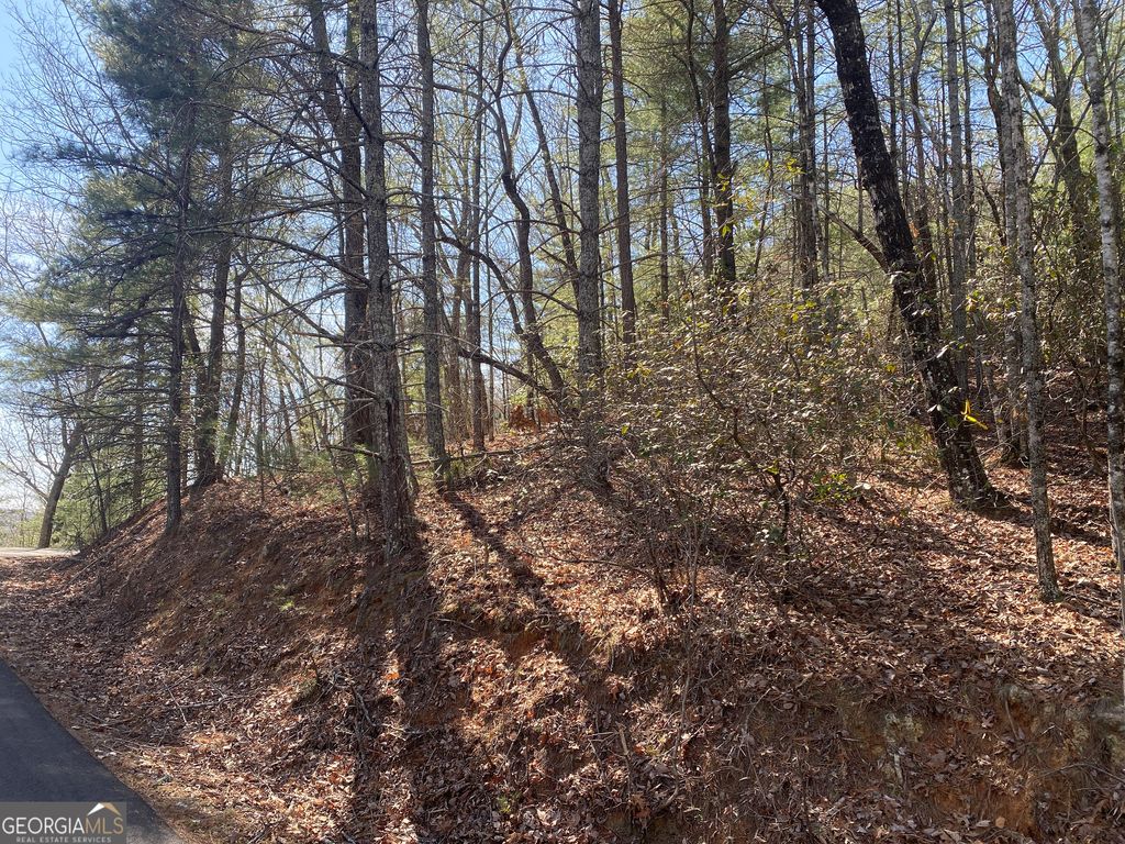 Photo of 27 Lake Rabun Bluffs, Lakemont, GA 30552 (MLS # 10719857)