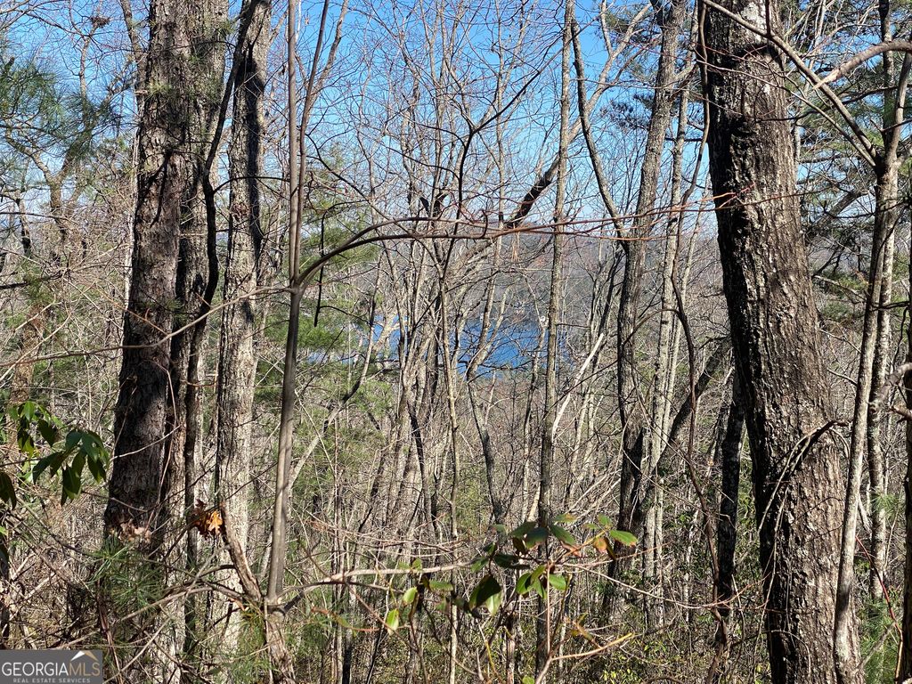 Photo of 27 Lake Rabun Bluffs, Lakemont, GA 30552 (MLS # 10719857)