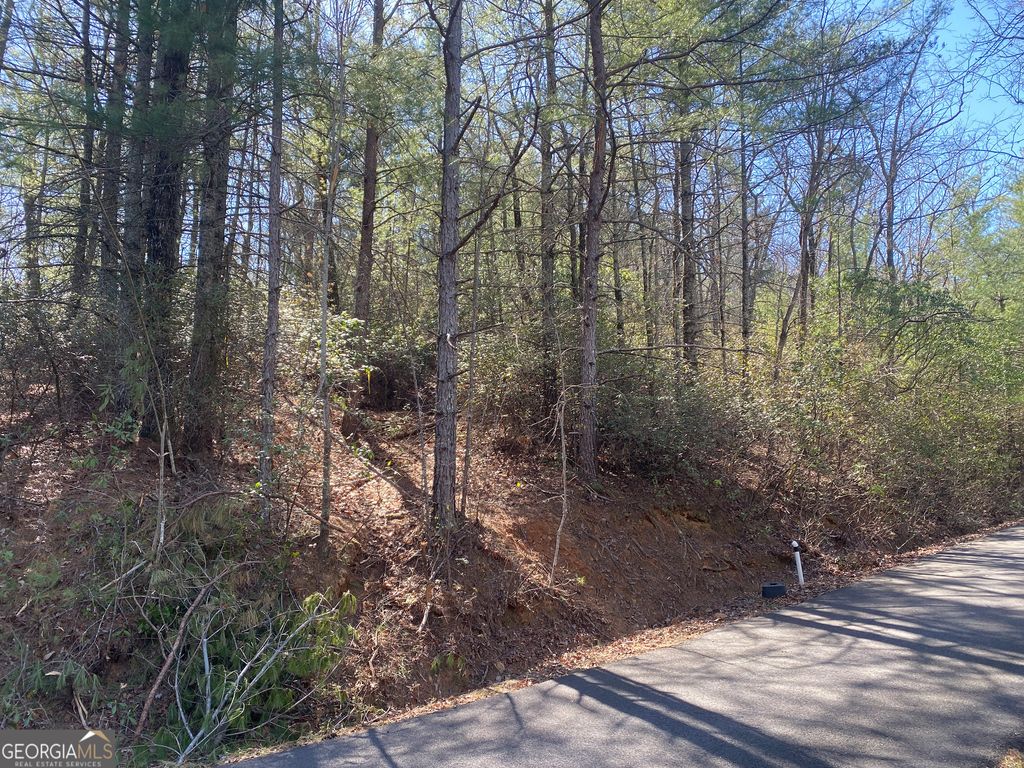 Photo of 27 Lake Rabun Bluffs, Lakemont, GA 30552 (MLS # 10719857)