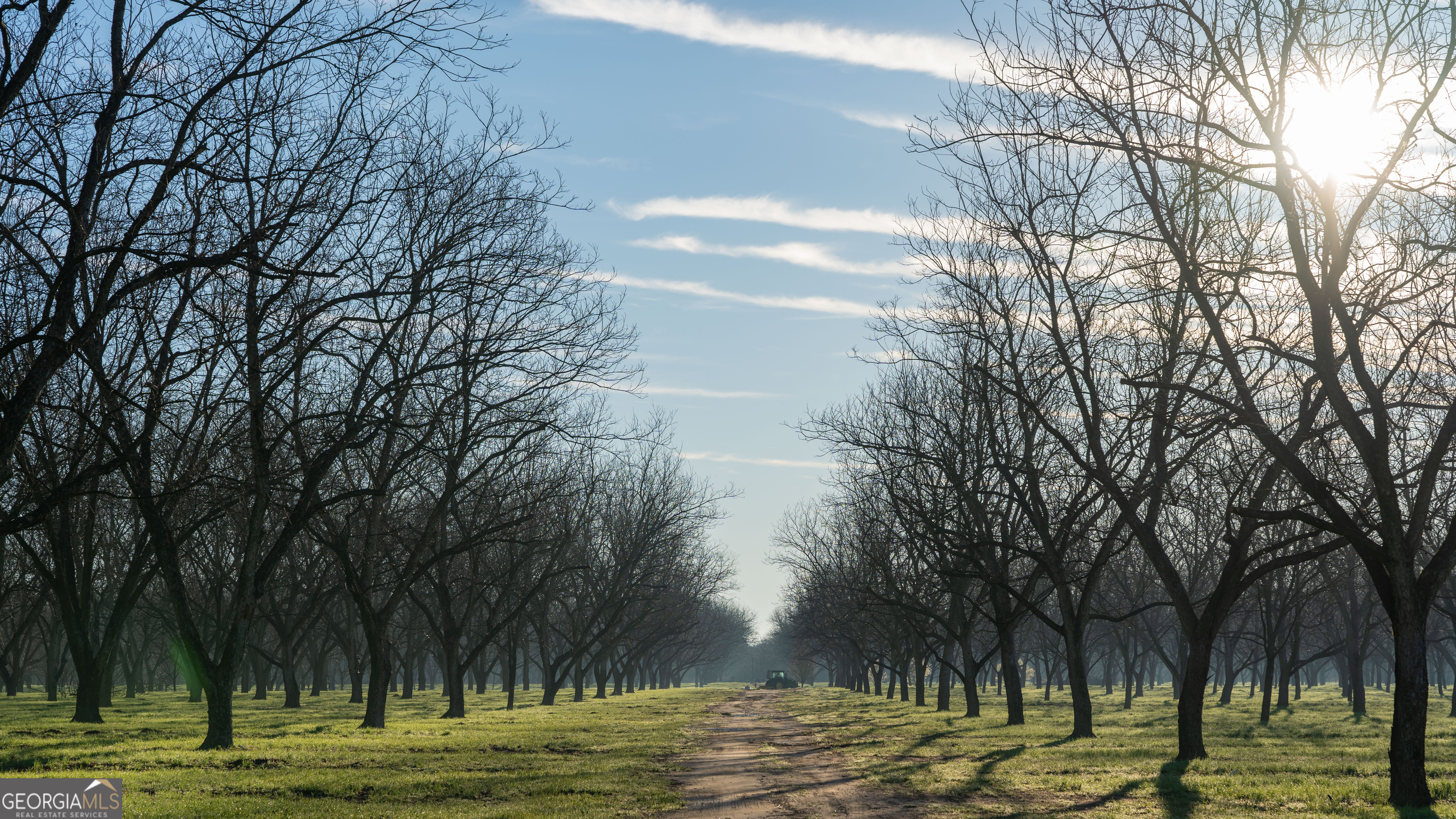 **ONLINE REAL ESTATE AUCTION - Price Determined By Competitive Bidding. Price Disclosed is Tax Card Value and is NOT a listing price.** Welcome to Sidney Lanier Farms, 392+/- total acres situated in Macon County, Georgia, a premier irrigated pecan operation with proven yields, sought after varieties, and quality improvements for continued pecan production. The Whitewater Road Orchards include 271+/- total acres of income producing pecan orchards perfect for ag investment or expanding your pecan operation. This auction features prime income-producing pecan orchards spanning 239.5+/- acres currently in production, supported by (3) 6-inch irrigation wells. The pecan varieties include Pawnee, Stuarts, Desirables, and Cape Fear. In addition to the orchards, this property features a stocked fishing pond, great hunting opportunities and so much more. Offered in 3 tracts, buyers can bid on a single tract, multiple or the farm as a whole. Go Bid Now!