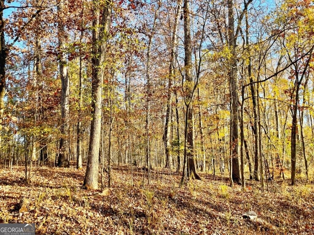 Photo of 0 Fullerton-Phillips Road, Hillsboro, GA 31038 (MLS # 10721832)