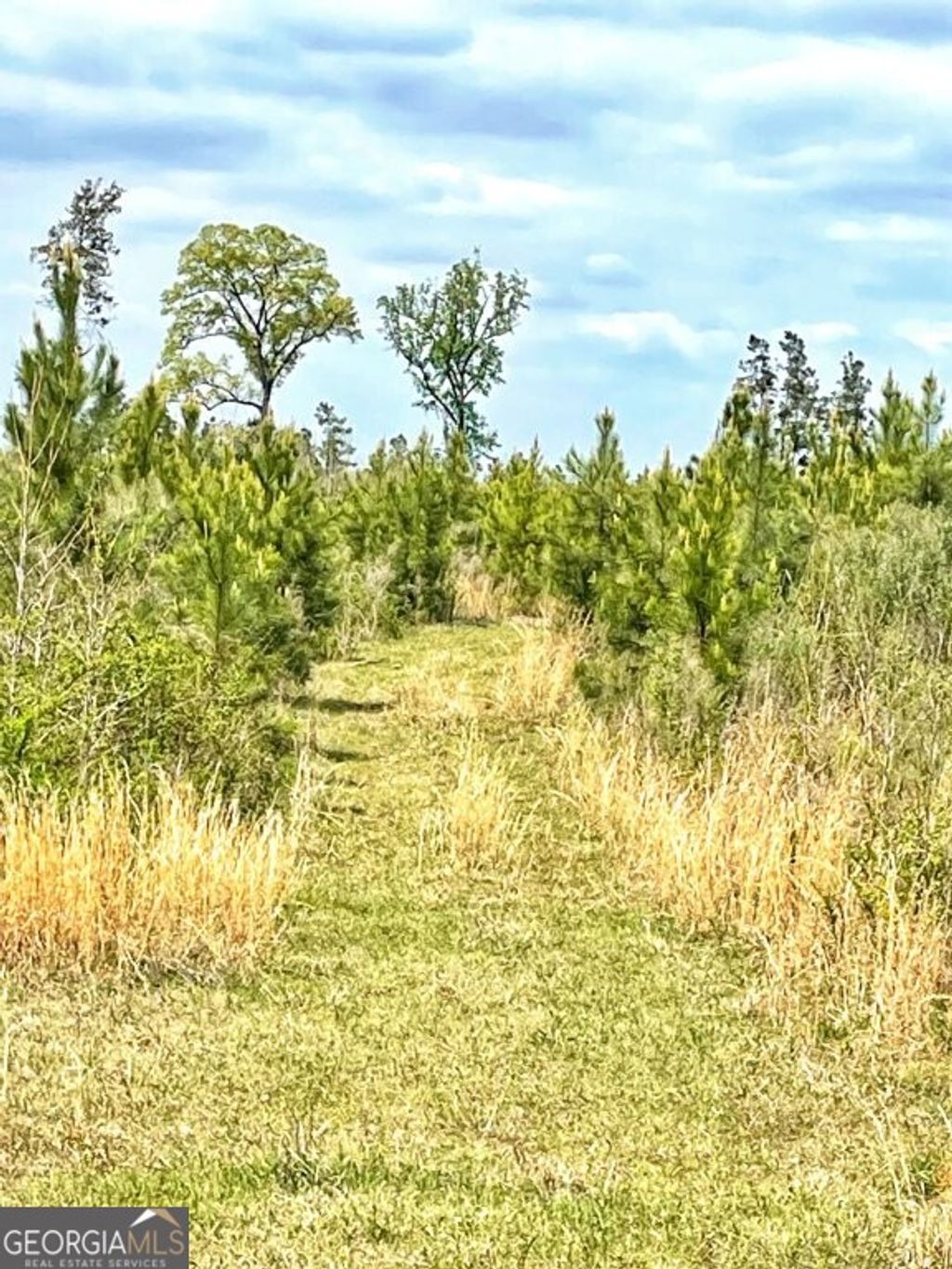 Photo of 0 Fullerton-Phillips Road, Hillsboro, GA 31038 (MLS # 10721832)