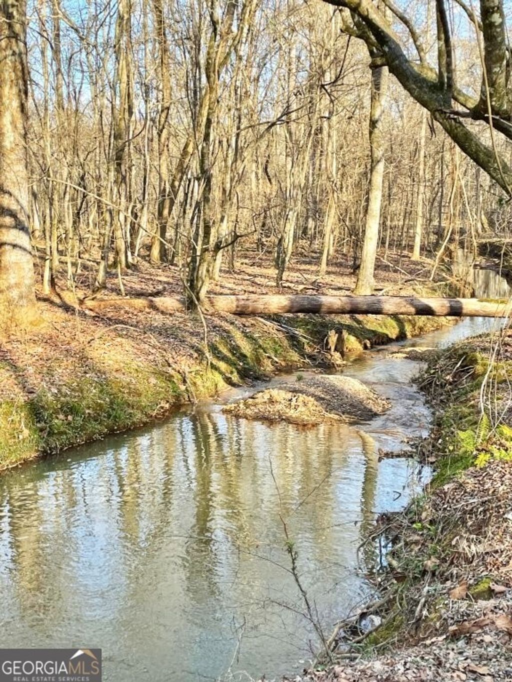 Photo of 0 Fullerton-Phillips Road, Hillsboro, GA 31038 (MLS # 10721832)