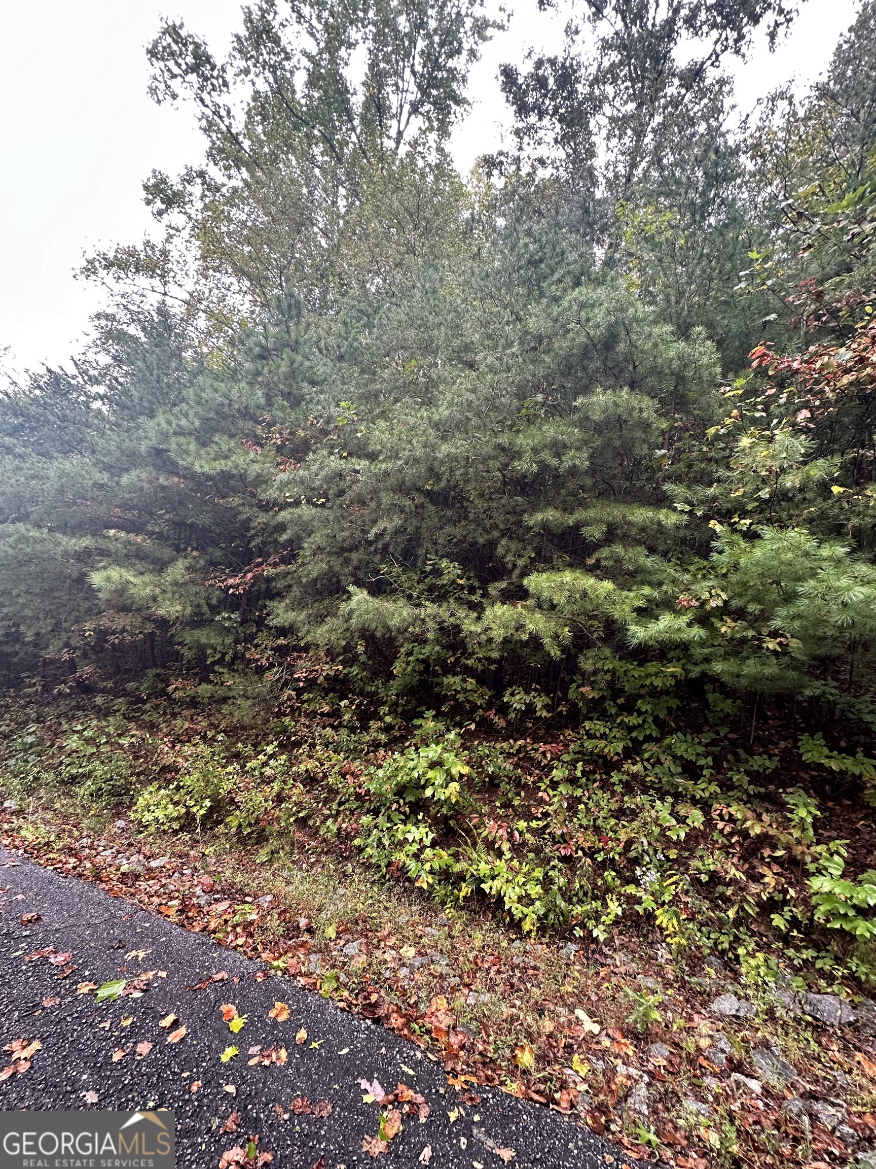LOT 22 Shake Hollow DR