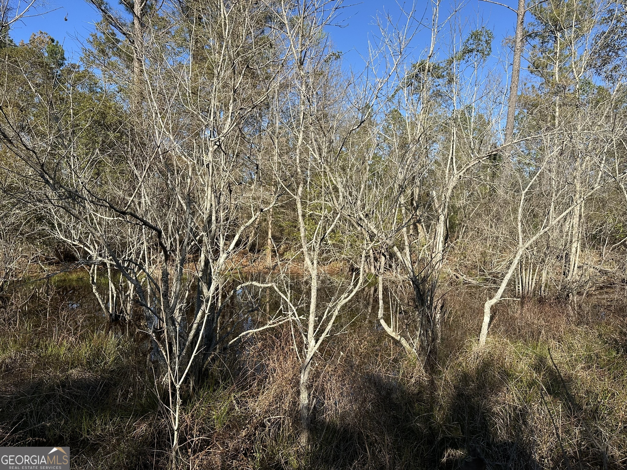 008 Sealy Wells Road