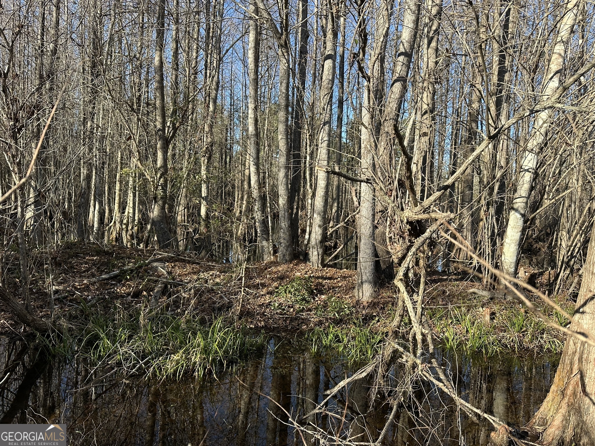 008 Sealy Wells Road