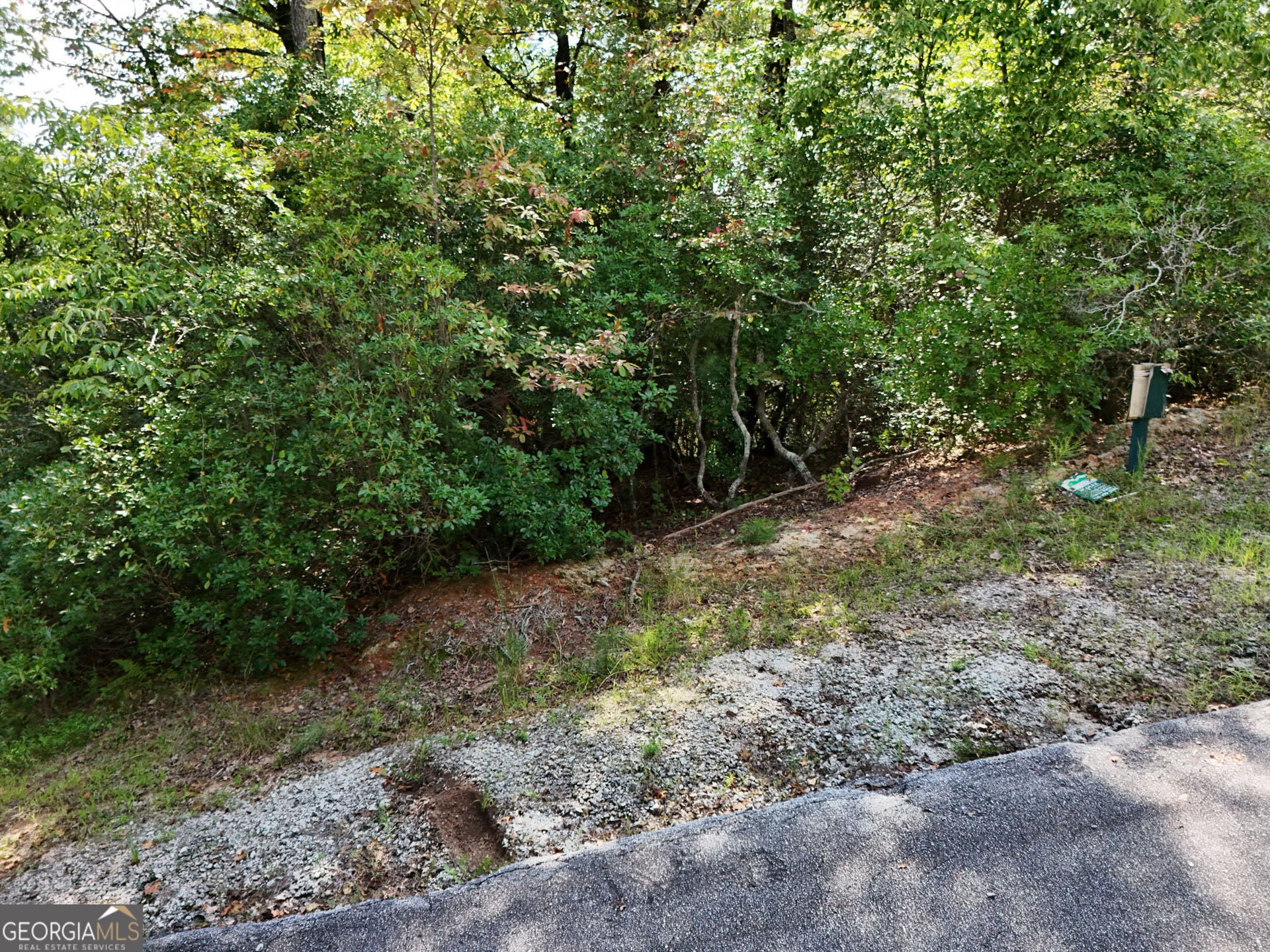 LOT 119 EE Brown Hawk Drive