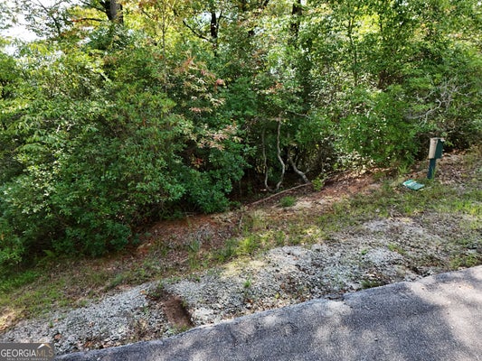 LOT 119 EE BROWN HAWK DRIVE, CLAYTON, GA 30525 - Image b2446f90d719793b63e70587347d094e/923698992